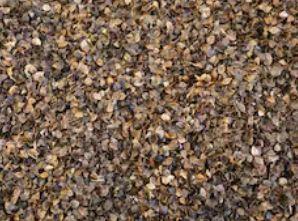 Buckwheat hulls stock photo. Image of brown, natural - 24071420